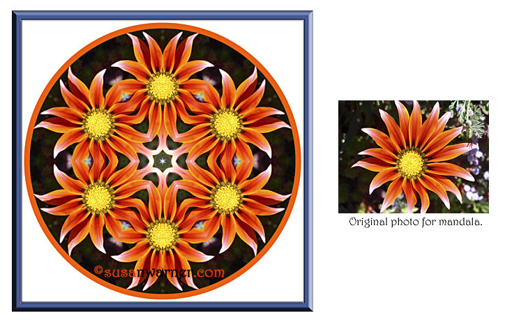 african_daisy_mandala.jpg