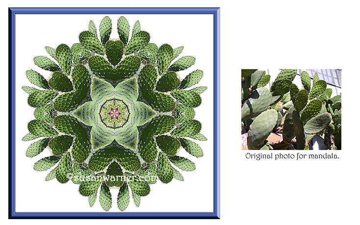 cactus_mandala.jpg