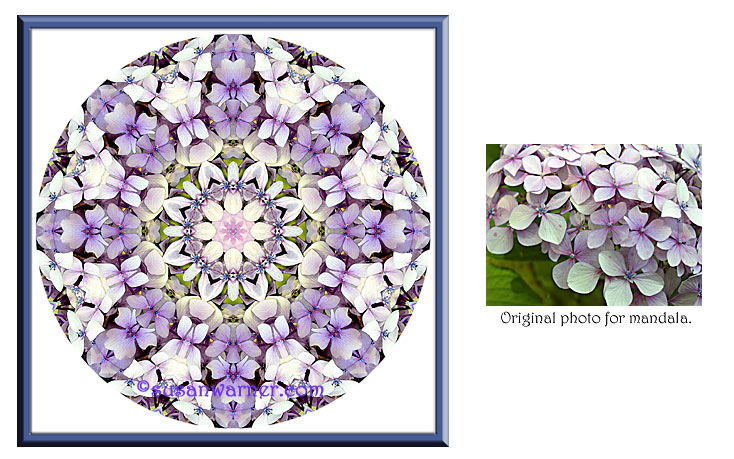 hydrangea_mandala.jpg