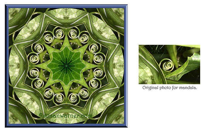 leaves_tendrils_mandala.jpg