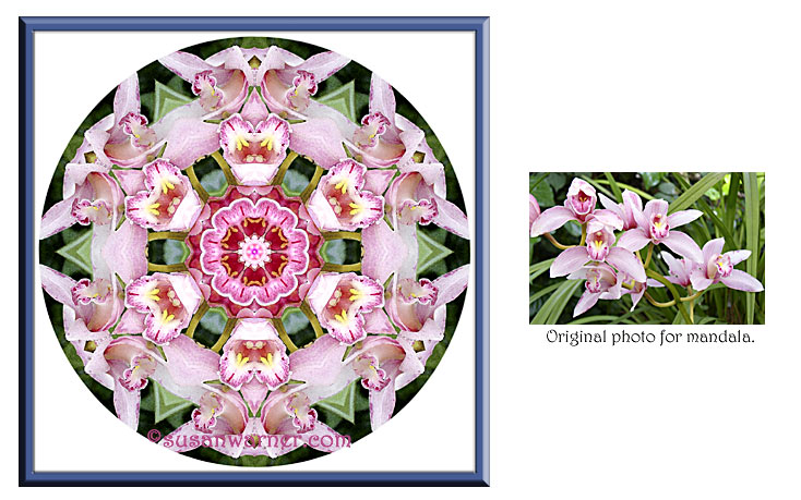 pink_orchid_mandala.jpg