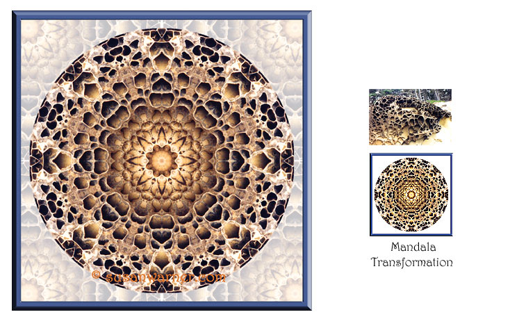 salt_point_rock_mandala.jpg